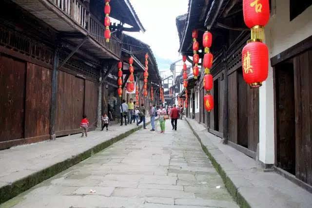 动物帮帮忙保卫家园